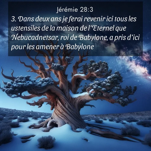 Segond21 Jérémie  ; image nature: image avec le verset biblique :Dans deux ans je ferai revenir ici tous les ustensiles de la maison de l&#039;Eternel que Nebucadnetsar, roi de Babylone, a pris d&#039;ici pour les amener à Babylone. ;  ; 28:3