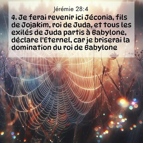 Segond21 Jérémie  ; image nature: image avec le verset biblique :Je ferai revenir ici Jéconia, fils de Jojakim, roi de Juda, et tous les exilés de Juda partis à Babylone, déclare l&#039;Eternel, car je briserai la domination du roi de Babylone.» ;  ; 28:4