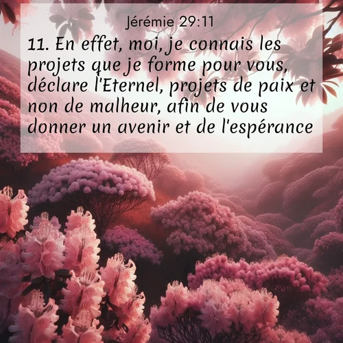 citation biblique : 11. En effet, moi, je connais les projets que je forme pour vous, déclare l&#039;Eternel, projets de paix et non de malheur, afin de vous donner un avenir et de l&#039;espérance.
 sur fond image nature