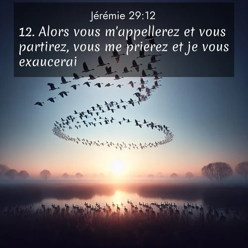 citation biblique : 12. Alors vous m&#039;appellerez et vous partirez, vous me prierez et je vous exaucerai.
 sur fond image nature