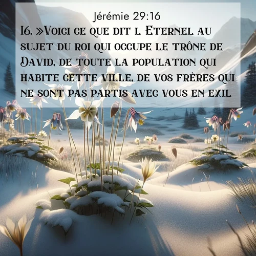 citation biblique : 16. »Voici ce que dit l&#039;Eternel au sujet du roi qui occupe le trône de David, de toute la population qui habite cette ville, de vos frères qui ne sont pas partis avec vous en exil,
 sur fond image nature