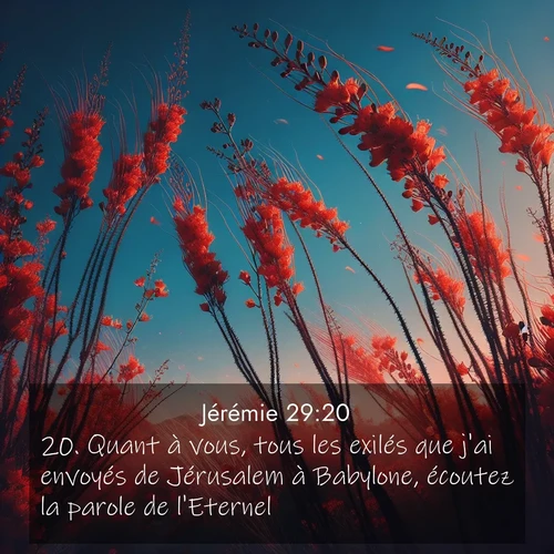 citation biblique : 20. Quant à vous, tous les exilés que j&#039;ai envoyés de Jérusalem à Babylone, écoutez la parole de l&#039;Eternel!
 sur fond image nature