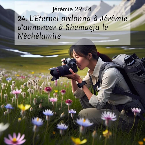 citation biblique : 24. L&#039;Eternel ordonna à Jérémie d&#039;annoncer à Shemaeja le Néchélamite:
 sur fond image nature