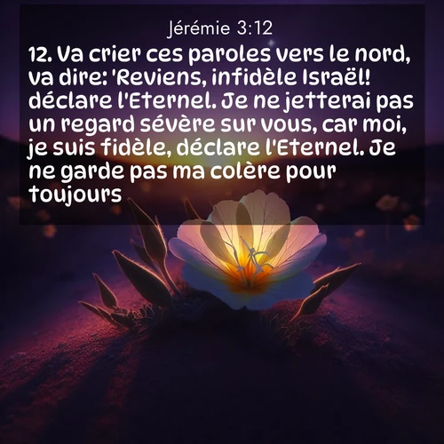 Segond21 Jérémie  ; image nature: image avec le verset biblique :Va crier ces paroles vers le nord, va dire: &#039;Reviens, infidèle Israël! déclare l&#039;Eternel. Je ne jetterai pas un regard sévère sur vous, car moi, je suis fidèle, déclare l&#039;Eternel. Je ne garde pas ma colère pour toujours. ;  ; 3:12