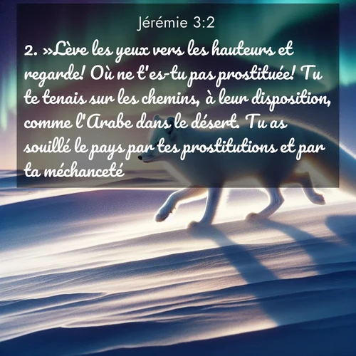 Segond21 Jérémie  ; image nature: image avec le verset biblique :»Lève les yeux vers les hauteurs et regarde! Où ne t&#039;es-tu pas prostituée! Tu te tenais sur les chemins, à leur disposition, comme l&#039;Arabe dans le désert. Tu as souillé le pays par tes prostitutions et par ta méchanceté. ;  ; 3:2