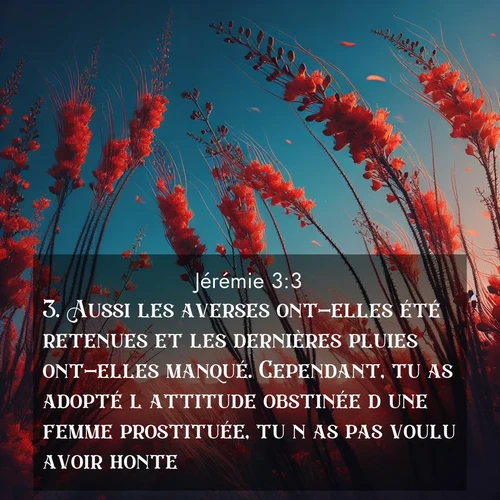 Segond21 Jérémie  ; image nature: image avec le verset biblique :Aussi les averses ont-elles été retenues et les dernières pluies ont-elles manqué. Cependant, tu as adopté l&#039;attitude obstinée d&#039;une femme prostituée, tu n&#039;as pas voulu avoir honte. ;  ; 3:3