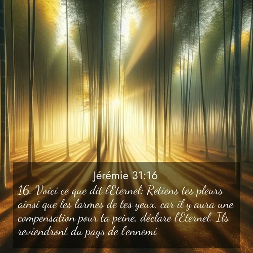 Segond21 Jérémie  ; image nature: image avec le verset biblique :Voici ce que dit l&#039;Eternel: Retiens tes pleurs ainsi que les larmes de tes yeux, car il y aura une compensation pour ta peine, déclare l&#039;Eternel. Ils reviendront du pays de l&#039;ennemi. ;  ; 31:16