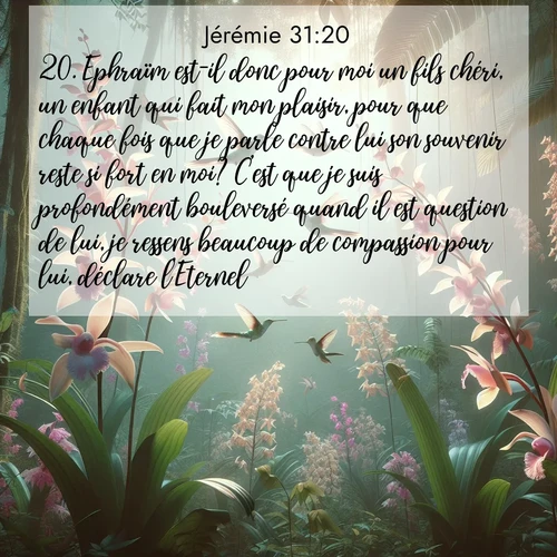 Segond21 Jérémie  ; image nature: image avec le verset biblique :Ephraïm est-il donc pour moi un fils chéri, un enfant qui fait mon plaisir, pour que chaque fois que je parle contre lui son souvenir reste si fort en moi? C&#039;est que je suis profondément bouleversé quand il est question de lui, je ressens beaucoup de compassion pour lui, déclare l&#039;Eternel. ;  ; 31:20