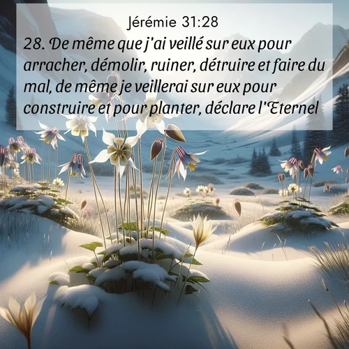 citation biblique : 28. De même que j&#039;ai veillé sur eux pour arracher, démolir, ruiner, détruire et faire du mal, de même je veillerai sur eux pour construire et pour planter, déclare l&#039;Eternel.
 sur fond image nature