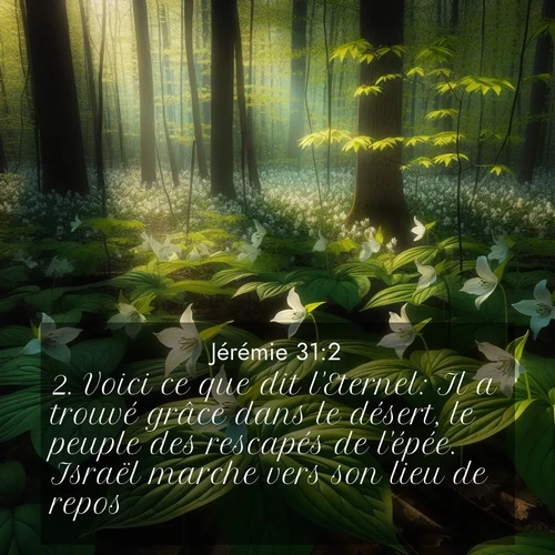 citation biblique : 2. Voici ce que dit l&#039;Eternel: Il a trouvé grâce dans le désert, le peuple des rescapés de l&#039;épée. Israël marche vers son lieu de repos.
 sur fond image nature