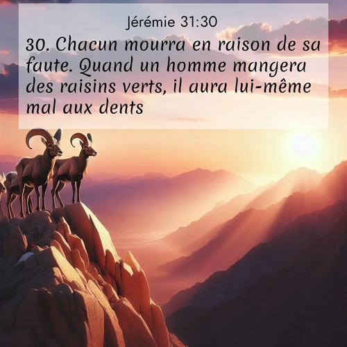 Segond21 Jérémie  ; image nature: image avec le verset biblique :Chacun mourra en raison de sa faute. Quand un homme mangera des raisins verts, il aura lui-même mal aux dents. ;  ; 31:30