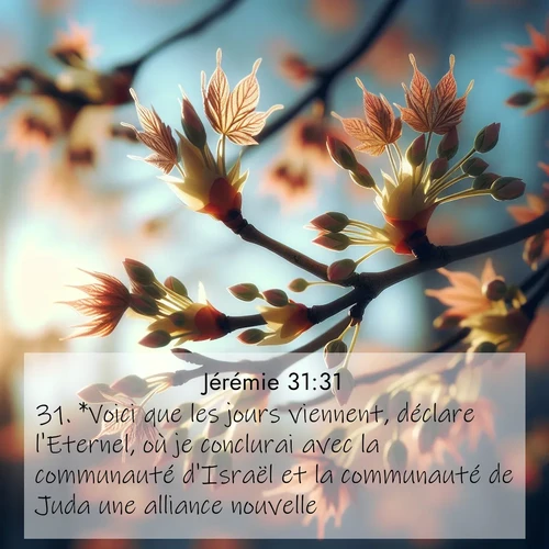 citation biblique : 31. *Voici que les jours viennent, déclare l&#039;Eternel, où je conclurai avec la communauté d&#039;Israël et la communauté de Juda une alliance nouvelle.
 sur fond image nature