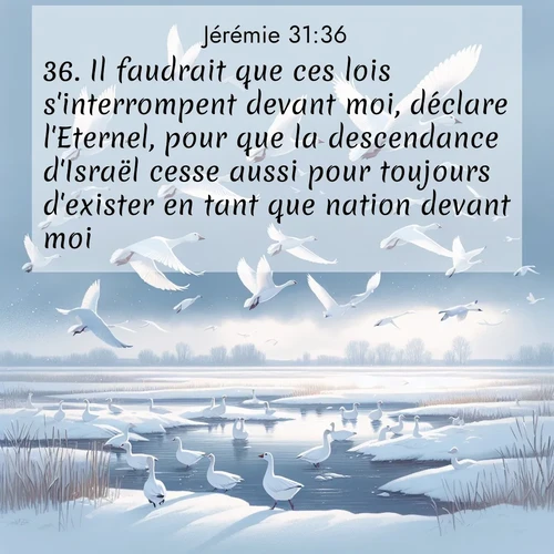 citation biblique : 36. Il faudrait que ces lois s&#039;interrompent devant moi, déclare l&#039;Eternel, pour que la descendance d&#039;Israël cesse aussi pour toujours d&#039;exister en tant que nation devant moi.
 sur fond image nature