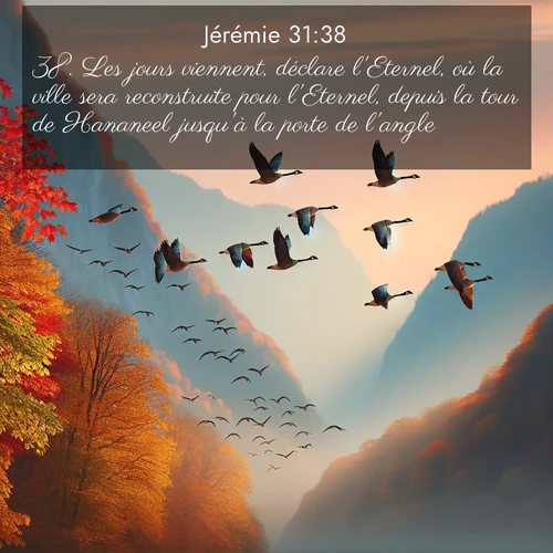 citation biblique : 38. Les jours viennent, déclare l&#039;Eternel, où la ville sera reconstruite pour l&#039;Eternel, depuis la tour de Hananeel jusqu&#039;à la porte de l&#039;angle.
 sur fond image nature