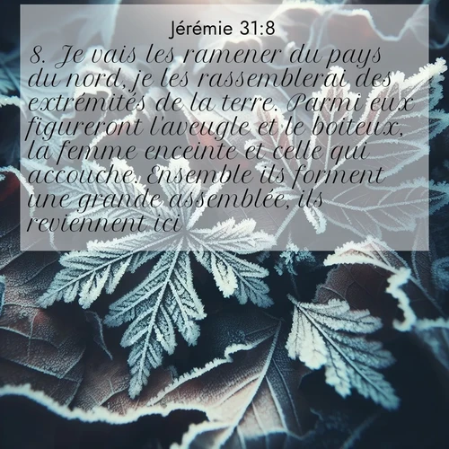 citation biblique : 8. Je vais les ramener du pays du nord, je les rassemblerai des extrémités de la terre. Parmi eux figureront l&#039;aveugle et le boiteux, la femme enceinte et celle qui accouche. Ensemble ils forment une grande assemblée, ils reviennent ici.
 sur fond image nature