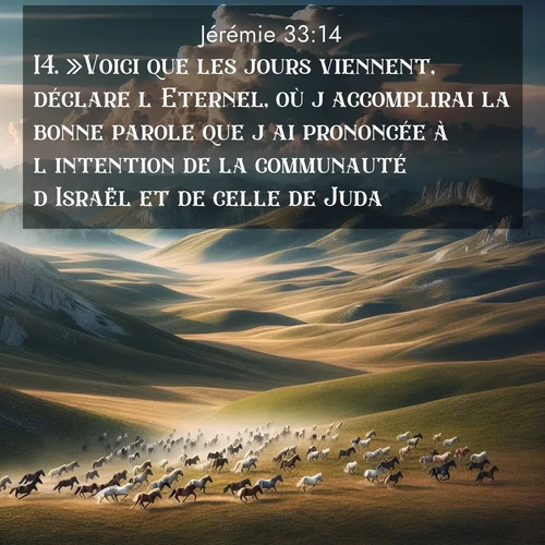 Segond21 Jérémie  ; image nature: image avec le verset biblique :»Voici que les jours viennent, déclare l&#039;Eternel, où j&#039;accomplirai la bonne parole que j&#039;ai prononcée à l&#039;intention de la communauté d&#039;Israël et de celle de Juda. ;  ; 33:14