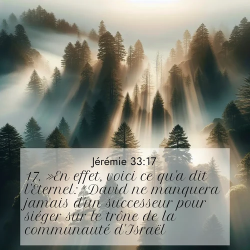 Segond21 Jérémie  ; image nature: image avec le verset biblique :»En effet, voici ce qu&#039;a dit l&#039;Eternel: *David ne manquera jamais d&#039;un successeur pour siéger sur le trône de la communauté d&#039;Israël. ;  ; 33:17