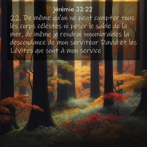 Segond21 Jérémie  ; image nature: image avec le verset biblique :De même qu&#039;on ne peut compter tous les corps célestes ni peser le sable de la mer, de même je rendrai innombrables la descendance de mon serviteur David et les Lévites qui sont à mon service.» ;  ; 33:22
