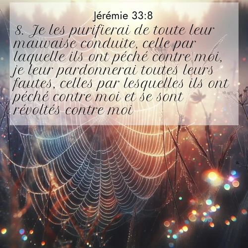 Segond21 Jérémie  ; image nature: image avec le verset biblique :Je les purifierai de toute leur mauvaise conduite, celle par laquelle ils ont péché contre moi, je leur pardonnerai toutes leurs fautes, celles par lesquelles ils ont péché contre moi et se sont révoltés contre moi. ;  ; 33:8