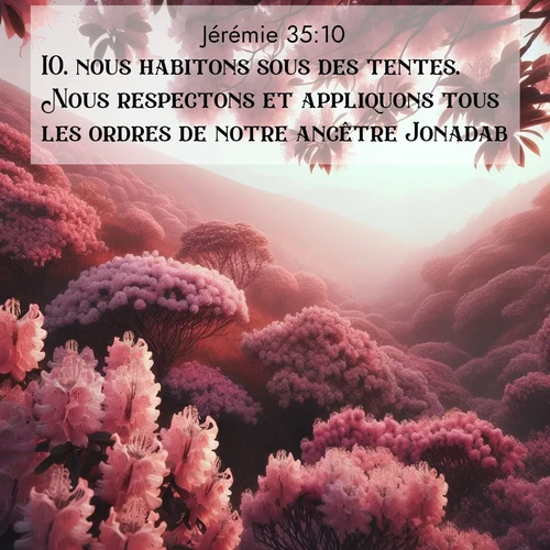 image nature avec verset biblique de la Bible