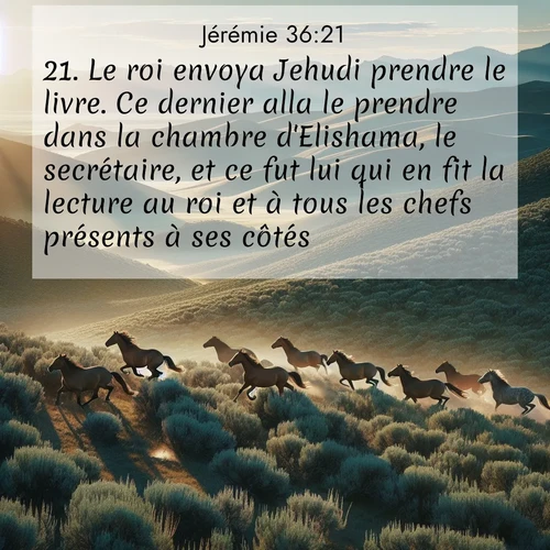 citation biblique : 21. Le roi envoya Jehudi prendre le livre. Ce dernier alla le prendre dans la chambre d&#039;Elishama, le secrétaire, et ce fut lui qui en fit la lecture au roi et à tous les chefs présents à ses côtés.
 sur fond image nature