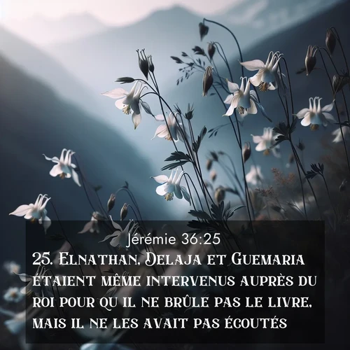 citation biblique : 25. Elnathan, Delaja et Guemaria étaient même intervenus auprès du roi pour qu&#039;il ne brûle pas le livre, mais il ne les avait pas écoutés.
 sur fond image nature