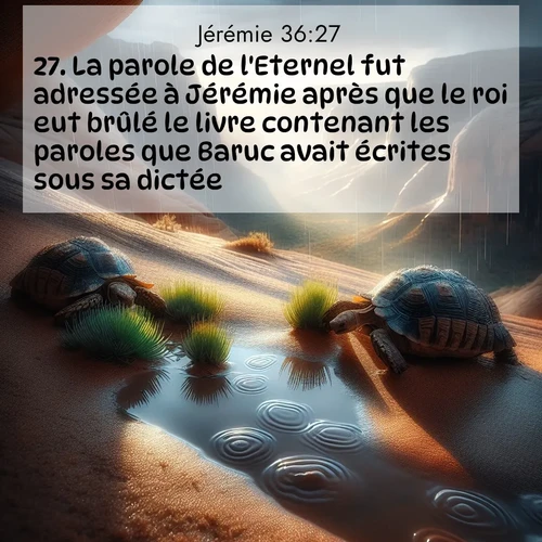 Segond21 Jérémie  ; image nature: image avec le verset biblique :La parole de l&#039;Eternel fut adressée à Jérémie après que le roi eut brûlé le livre contenant les paroles que Baruc avait écrites sous sa dictée: ;  ; 36:27