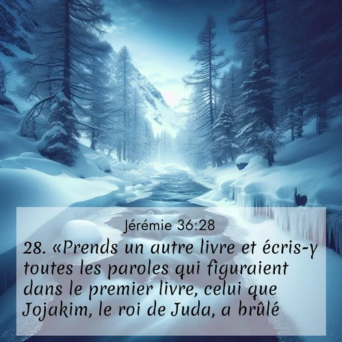 Segond21 Jérémie  ; image nature: image avec le verset biblique :«Prends un autre livre et écris-y toutes les paroles qui figuraient dans le premier livre, celui que Jojakim, le roi de Juda, a brûlé. ;  ; 36:28