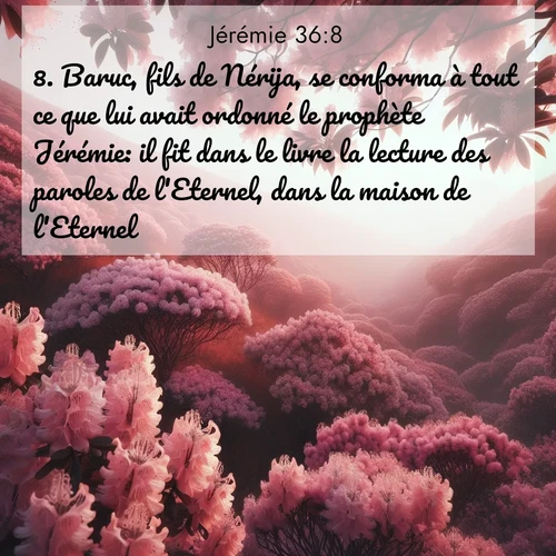 citation biblique : 8. Baruc, fils de Nérija, se conforma à tout ce que lui avait ordonné le prophète Jérémie: il fit dans le livre la lecture des paroles de l&#039;Eternel, dans la maison de l&#039;Eternel.
 sur fond image nature