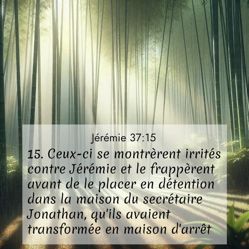 Segond21 Jérémie  ; image nature: image avec le verset biblique :Ceux-ci se montrèrent irrités contre Jérémie et le frappèrent avant de le placer en détention dans la maison du secrétaire Jonathan, qu&#039;ils avaient transformée en maison d&#039;arrêt. ;  ; 37:15