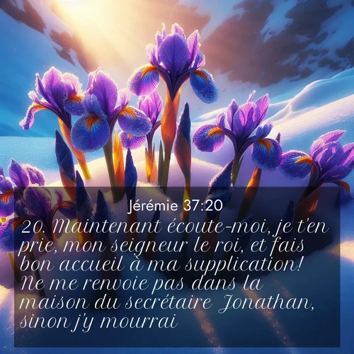 Segond21 Jérémie  ; image nature: image avec le verset biblique :Maintenant écoute-moi, je t&#039;en prie, mon seigneur le roi, et fais bon accueil à ma supplication! Ne me renvoie pas dans la maison du secrétaire Jonathan, sinon j&#039;y mourrai!» ;  ; 37:20