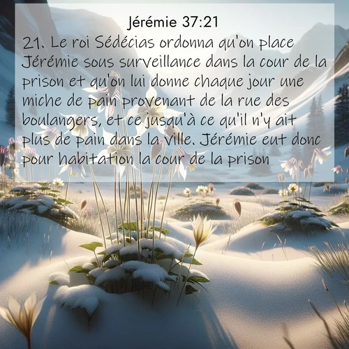 Segond21 Jérémie  ; image nature: image avec le verset biblique :Le roi Sédécias ordonna qu&#039;on place Jérémie sous surveillance dans la cour de la prison et qu&#039;on lui donne chaque jour une miche de pain provenant de la rue des boulangers, et ce jusqu&#039;à ce qu&#039;il n&#039;y ait plus de pain dans la ville. Jérémie eut donc pour habitation la cour de la prison. ;  ; 37:21