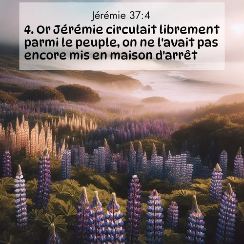Segond21 Jérémie  ; image nature: image avec le verset biblique :Or Jérémie circulait librement parmi le peuple, on ne l&#039;avait pas encore mis en maison d&#039;arrêt. ;  ; 37:4