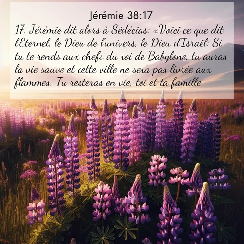 citation biblique : 17. Jérémie dit alors à Sédécias: «Voici ce que dit l&#039;Eternel, le Dieu de l&#039;univers, le Dieu d&#039;Israël: Si tu te rends aux chefs du roi de Babylone, tu auras la vie sauve et cette ville ne sera pas livrée aux flammes. Tu resteras en vie, toi et ta famille.
 sur fond image nature