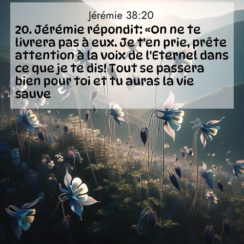 citation biblique : 20. Jérémie répondit: «On ne te livrera pas à eux. Je t&#039;en prie, prête attention à la voix de l&#039;Eternel dans ce que je te dis! Tout se passera bien pour toi et tu auras la vie sauve.
 sur fond image nature