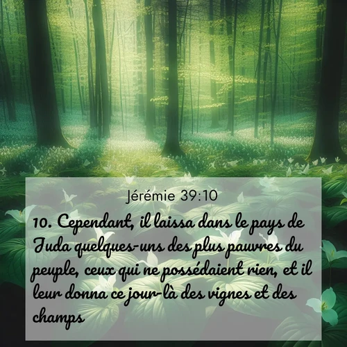 Segond21 Jérémie  ; image nature: image avec le verset biblique :Cependant, il laissa dans le pays de Juda quelques-uns des plus pauvres du peuple, ceux qui ne possédaient rien, et il leur donna ce jour-là des vignes et des champs. ;  ; 39:10