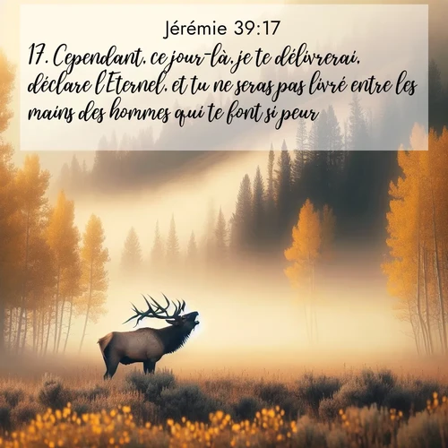 Segond21 Jérémie  ; image nature: image avec le verset biblique :Cependant, ce jour-là, je te délivrerai, déclare l&#039;Eternel, et tu ne seras pas livré entre les mains des hommes qui te font si peur. ;  ; 39:17