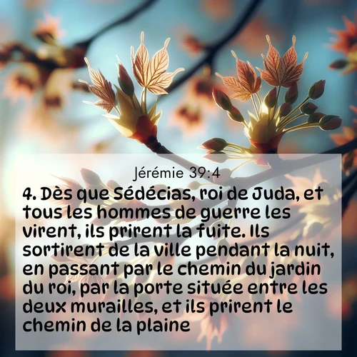 Segond21 Jérémie  ; image nature: image avec le verset biblique :Dès que Sédécias, roi de Juda, et tous les hommes de guerre les virent, ils prirent la fuite. Ils sortirent de la ville pendant la nuit, en passant par le chemin du jardin du roi, par la porte située entre les deux murailles, et ils prirent le chemin de la plaine. ;  ; 39:4