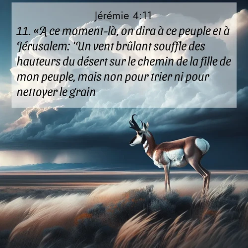 citation biblique : 11. «A ce moment-là, on dira à ce peuple et à Jérusalem: &#039;Un vent brûlant souffle des hauteurs du désert sur le chemin de la fille de mon peuple, mais non pour trier ni pour nettoyer le grain.
 sur fond image nature