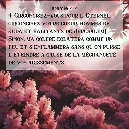 Segond21 Jérémie  ; image nature: image avec le verset biblique :Circoncisez-vous pour l&#039;Eternel, circoncisez votre coeur, hommes de Juda et habitants de Jérusalem! Sinon, ma colère éclatera comme un feu et s&#039;enflammera sans qu&#039;on puisse l&#039;éteindre à cause de la méchanceté de vos agissements. ;  ; 4:4