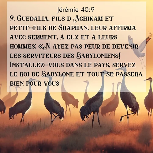 Segond21 Jérémie  ; image nature: image avec le verset biblique :Guedalia, fils d&#039;Achikam et petit-fils de Shaphan, leur affirma avec serment, à eux et à leurs hommes: «N&#039;ayez pas peur de devenir les serviteurs des Babyloniens! Installez-vous dans le pays, servez le roi de Babylone et tout se passera bien pour vous. ;  ; 40:9