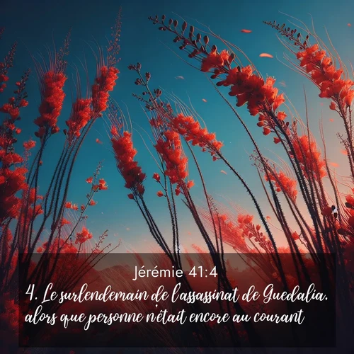 image nature avec verset biblique de la Bible