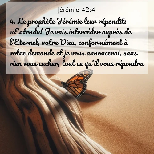 citation biblique : 4. Le prophète Jérémie leur répondit: «Entendu! Je vais intercéder auprès de l&#039;Eternel, votre Dieu, conformément à votre demande et je vous annoncerai, sans rien vous cacher, tout ce qu&#039;il vous répondra.»
 sur fond image nature