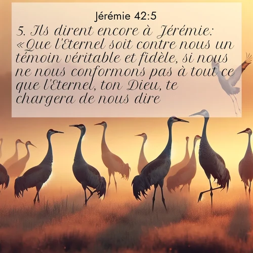 citation biblique : 5. Ils dirent encore à Jérémie: «Que l&#039;Eternel soit contre nous un témoin véritable et fidèle, si nous ne nous conformons pas à tout ce que l&#039;Eternel, ton Dieu, te chargera de nous dire!
 sur fond image nature