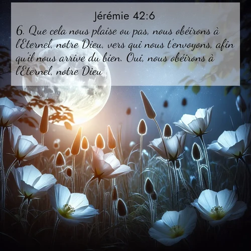 citation biblique : 6. Que cela nous plaise ou pas, nous obéirons à l&#039;Eternel, notre Dieu, vers qui nous t&#039;envoyons, afin qu&#039;il nous arrive du bien. Oui, nous obéirons à l&#039;Eternel, notre Dieu.»
 sur fond image nature