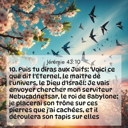 Segond21 Jérémie  ; image nature: image avec le verset biblique :Puis tu diras aux Juifs: &#039;Voici ce que dit l&#039;Eternel, le maître de l&#039;univers, le Dieu d&#039;Israël: Je vais envoyer chercher mon serviteur Nebucadnetsar, le roi de Babylone; je placerai son trône sur ces pierres que j&#039;ai cachées, et il déroulera son tapis sur elles. ;  ; 43:10