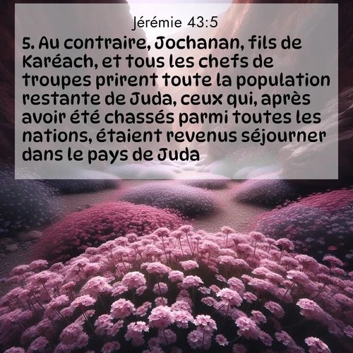 Segond21 Jérémie  ; image nature: image avec le verset biblique :Au contraire, Jochanan, fils de Karéach, et tous les chefs de troupes prirent toute la population restante de Juda, ceux qui, après avoir été chassés parmi toutes les nations, étaient revenus séjourner dans le pays de Juda. ;  ; 43:5