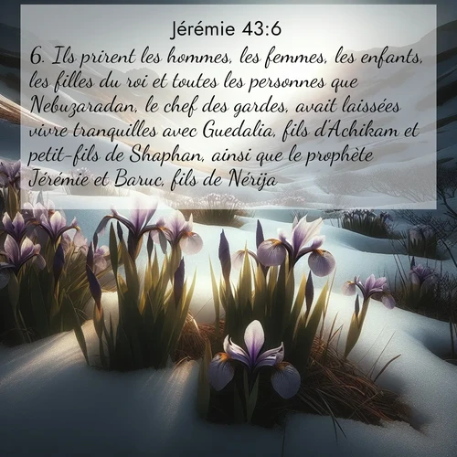 Segond21 Jérémie  ; image nature: image avec le verset biblique :Ils prirent les hommes, les femmes, les enfants, les filles du roi et toutes les personnes que Nebuzaradan, le chef des gardes, avait laissées vivre tranquilles avec Guedalia, fils d&#039;Achikam et petit-fils de Shaphan, ainsi que le prophète Jérémie et Baruc, fils de Nérija. ;  ; 43:6