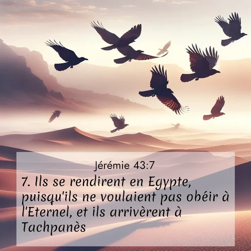Segond21 Jérémie  ; image nature: image avec le verset biblique :Ils se rendirent en Egypte, puisqu&#039;ils ne voulaient pas obéir à l&#039;Eternel, et ils arrivèrent à Tachpanès. ;  ; 43:7