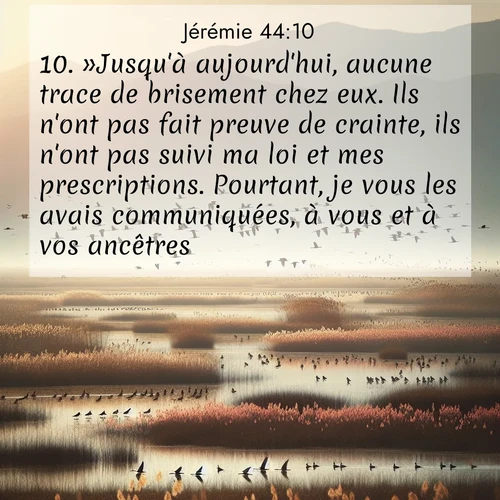 Segond21 Jérémie  ; image nature: image avec le verset biblique :»Jusqu&#039;à aujourd&#039;hui, aucune trace de brisement chez eux. Ils n&#039;ont pas fait preuve de crainte, ils n&#039;ont pas suivi ma loi et mes prescriptions. Pourtant, je vous les avais communiquées, à vous et à vos ancêtres. ;  ; 44:10